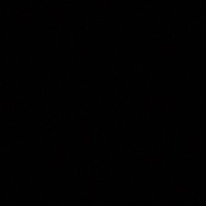 Meet your Posher, Carter